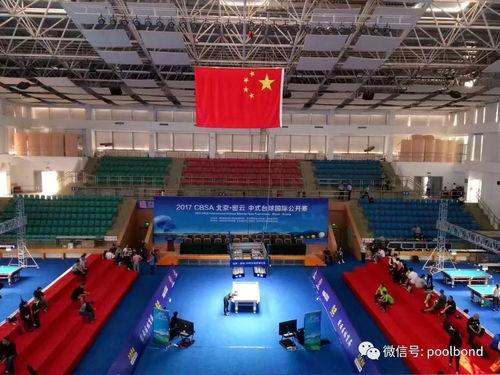 中式台球爆料视频播放,精彩瞬间回顾与幕后故事揭秘  第1张